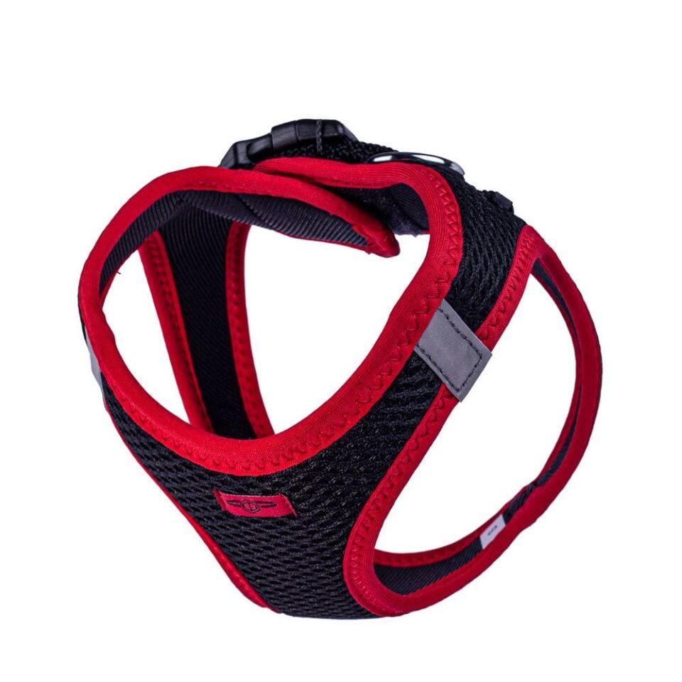 Doggie Neon Küçük Irk Köpek Göğüs Tasması S 32-38cm
