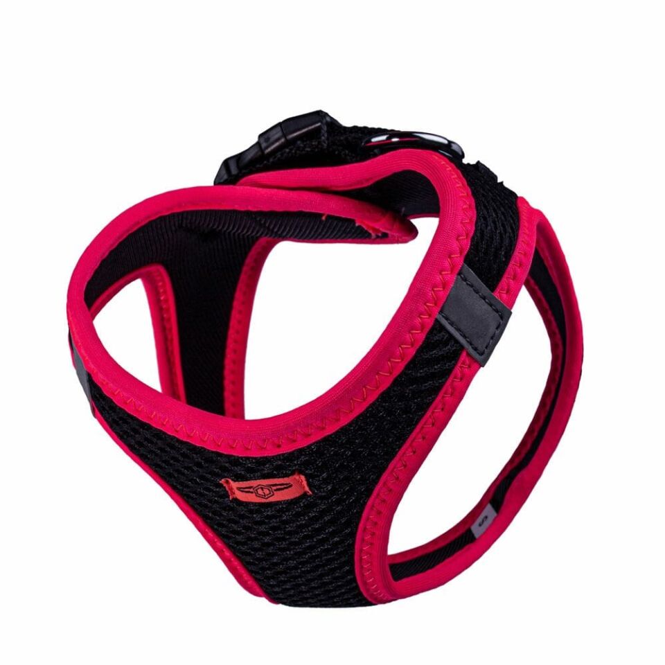 Doggie Neon Küçük Irk Köpek Göğüs Tasması S 32-38cm