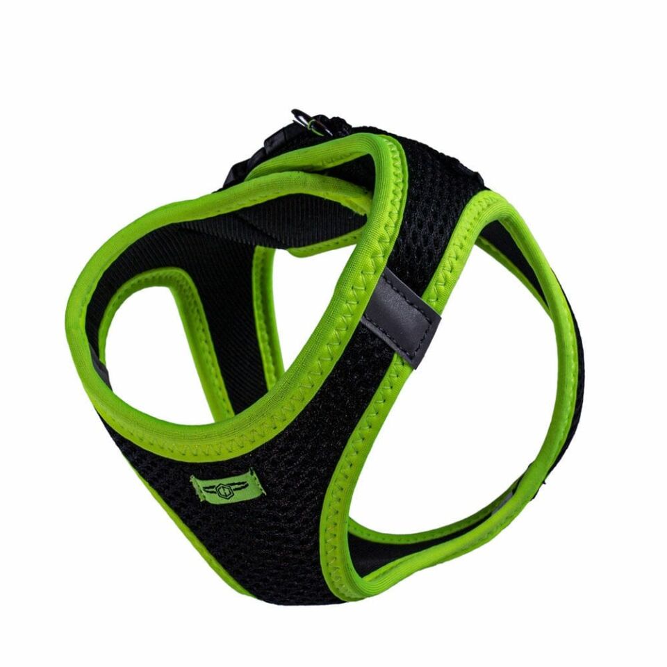 Doggie Neon Küçük Irk Köpek Göğüs Tasması S 32-38cm