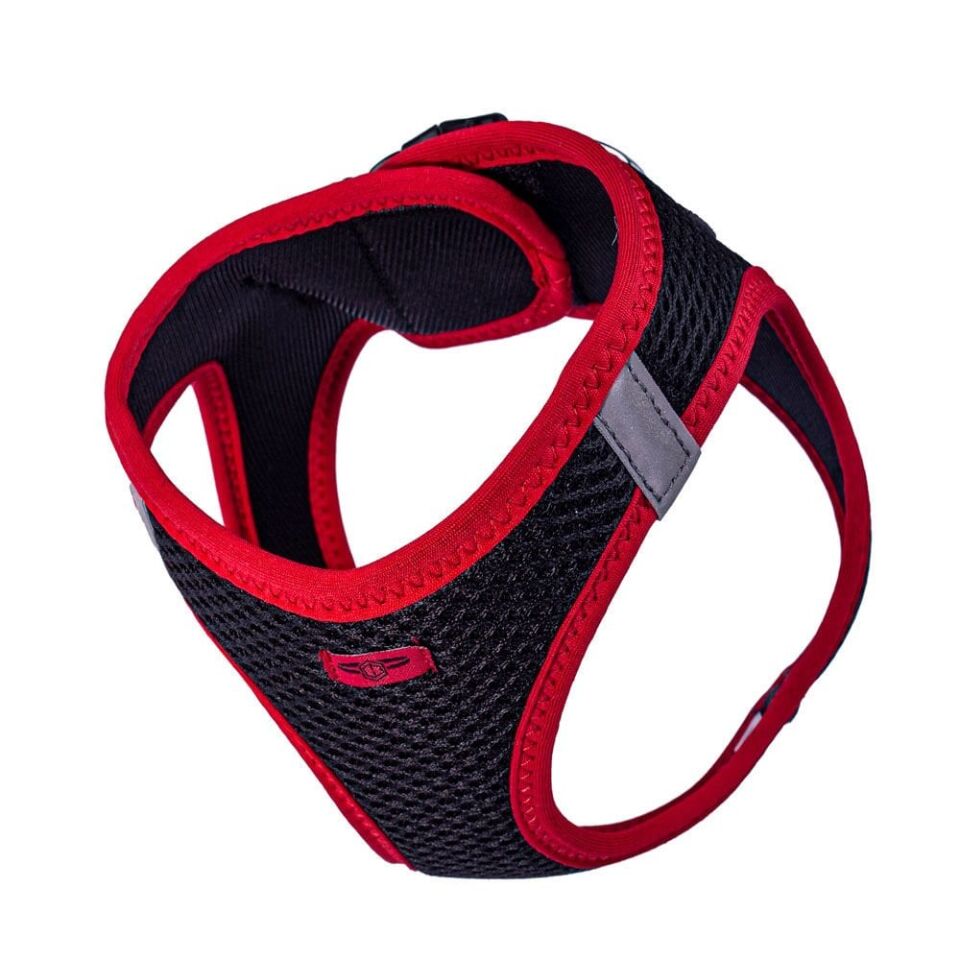 Doggie Neon Küçük Irk Köpek Göğüs Tasması M 38-44cm