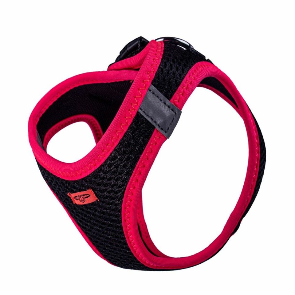 Doggie Neon Küçük Irk Köpek Göğüs Tasması M 38-44cm