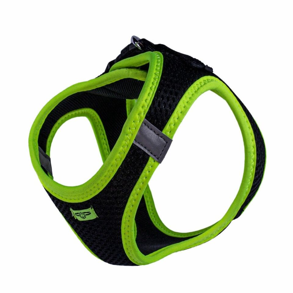 Doggie Neon Küçük Irk Köpek Göğüs Tasması M 38-44cm