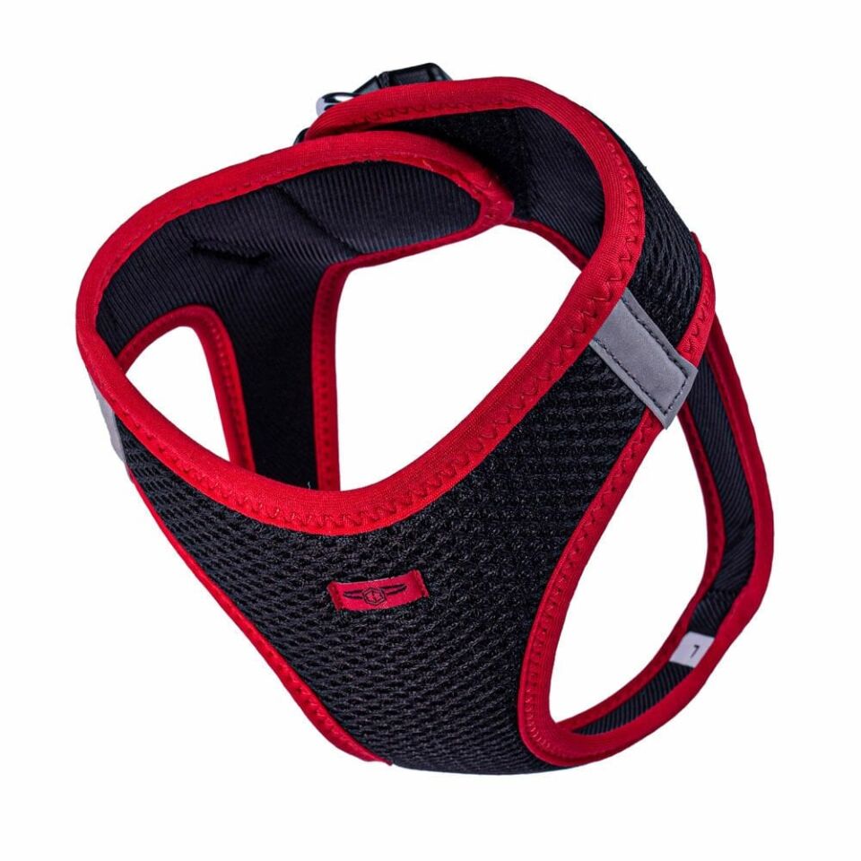 Doggie Neon Küçük Irk Köpek Göğüs Tasması L 42-48cm