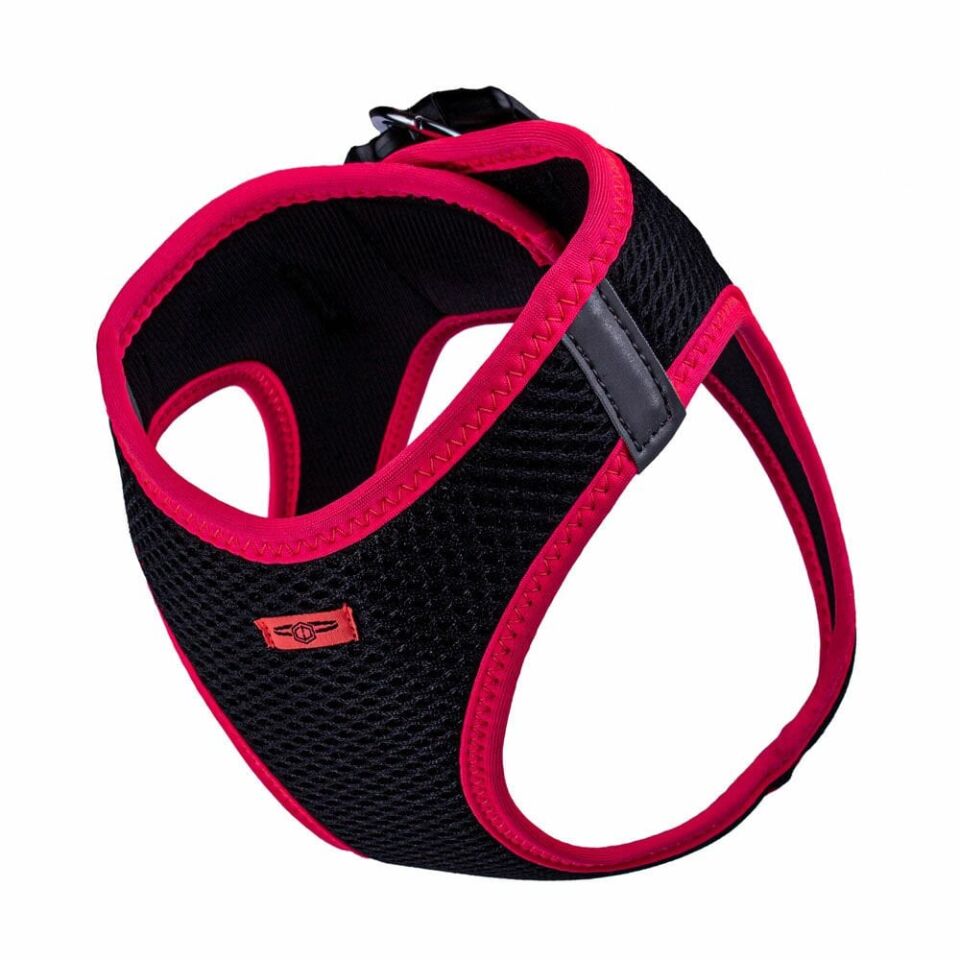 Doggie Neon Küçük Irk Köpek Göğüs Tasması L 42-48cm