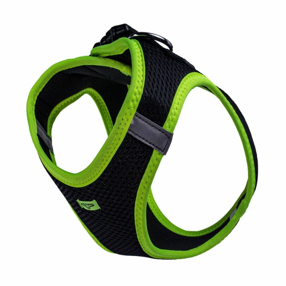 Doggie Neon Küçük Irk Köpek Göğüs Tasması L 42-48cm