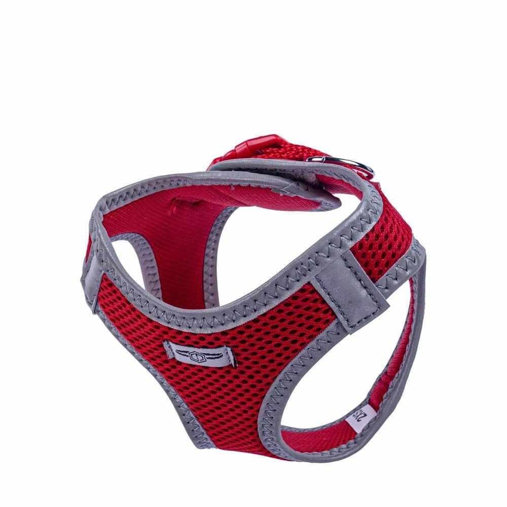 Doggie Reflektör Küçük Irk Köpek Göğüs Tasması 2XS 26-30cm