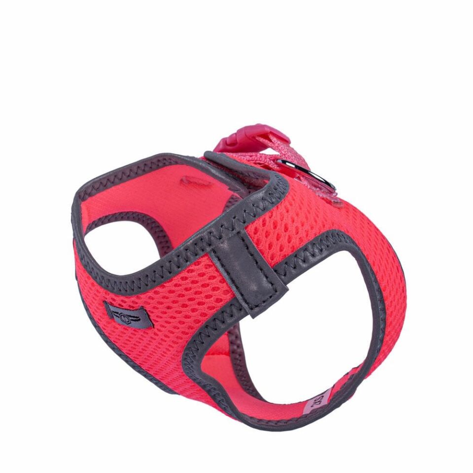 Doggie Reflektör Küçük Irk Köpek Göğüs Tasması 2XS 26-30cm