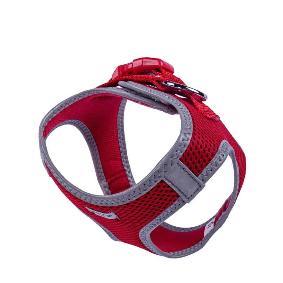 Doggie Reflektör Küçük Irk Köpek Göğüs Tasması XS 30-34cm