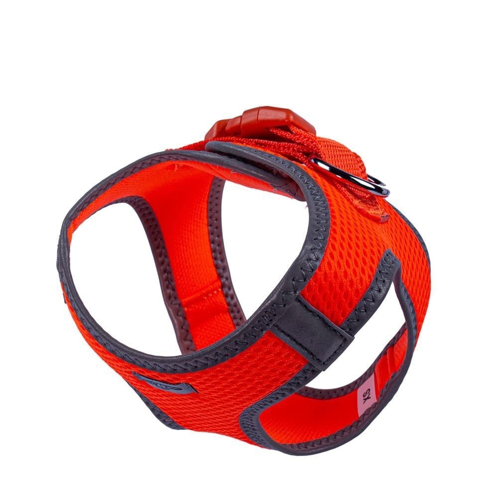 Doggie Reflektör Küçük Irk Köpek Göğüs Tasması XS 30-34cm