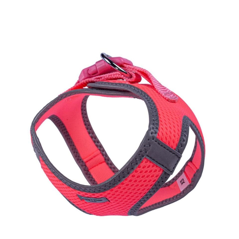 Doggie Reflektör Küçük Irk Köpek Göğüs Tasması XS 30-34cm