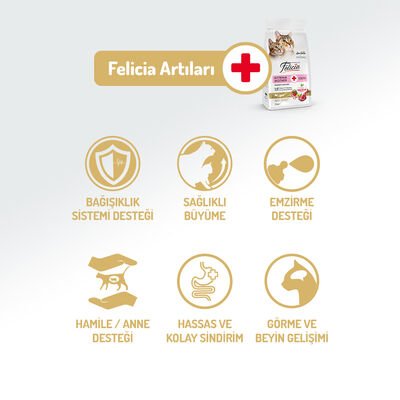Felicia Kitten & Mother Az Tahıllı Kuzu Etli Yavru Kedi Maması 1 Kg