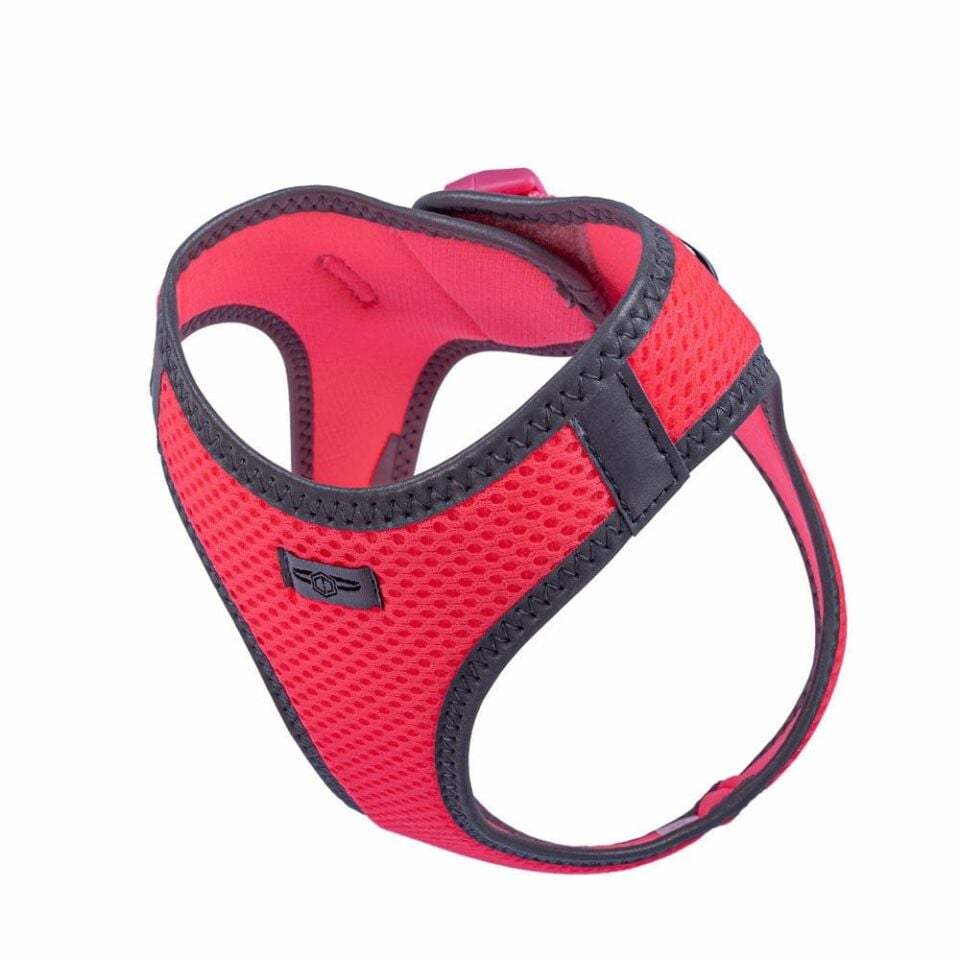 Doggie Reflektör Küçük Irk Köpek Göğüs Tasması S 32-38cm