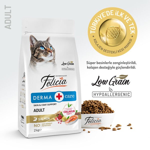 Felicia Az Tahıllı Derma HypoAllergenic Somonlu Yetişkin Kedi Maması 1 Kg