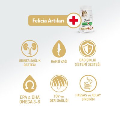 Felicia Az Tahıllı Digest HypoAllergenic Adult Tavuklu Yetişkin Kedi Maması 1 Kg