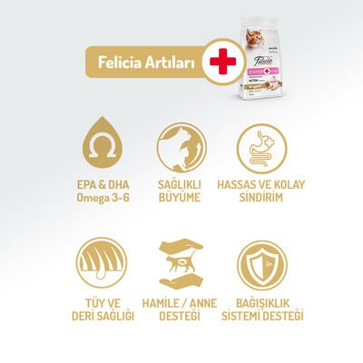 Felicia Az Tahıllı Starter HypoAllergenic Kitten Tavuklu Yavru Kedi Maması 1 Kg