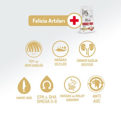Felicia Düşük Tahıllı Kuzulu Yetişkin Kedi Maması 2 Kg