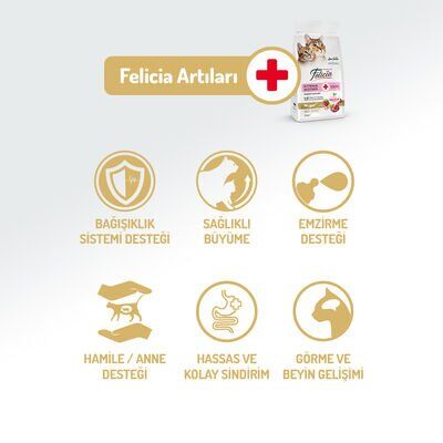 Felicia Düşük Tahıllı Kuzulu Yavru Kedi Maması 12 Kg