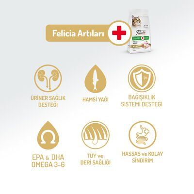 Felicia Yetişkin Tavuklu-Hamsili Kedi Maması 12 Kg