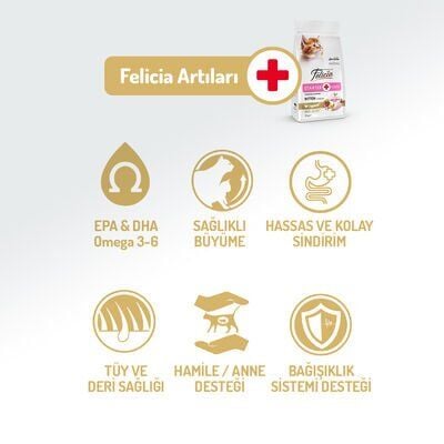 Felicia Tavuklu-Hamsili Yavru Kedi Maması 12 Kg