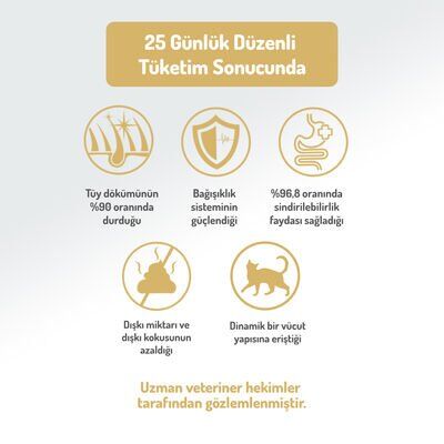Felicia Tavuklu-Hamsili Yavru Kedi Maması 12 Kg