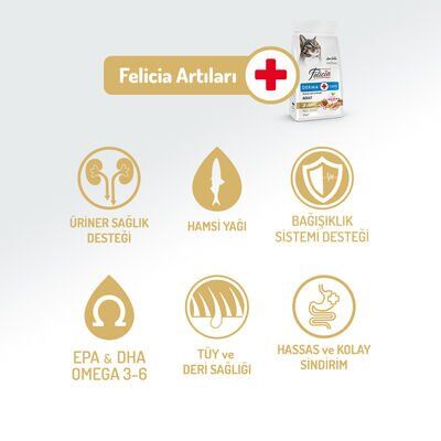 Felicia Somonlu Yetişkin Kedi Maması 12 Kg