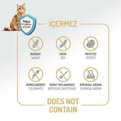 Felicia Somonlu Yetişkin Kedi Maması 12 Kg