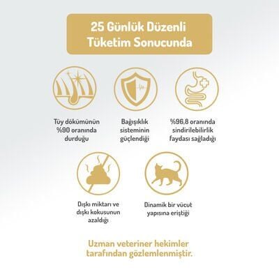 Felicia Somonlu Yetişkin Kedi Maması 12 Kg