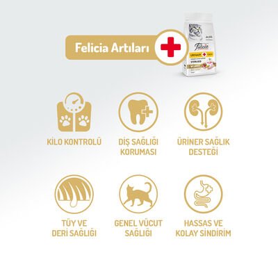 Felicia Düşük Tahıllı Tavuklu Kısır Kedi Maması 2 kg