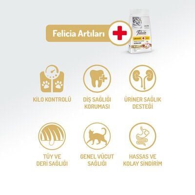 Felicia Düşük Tahıllı Tavuklu Kısır Kedi Maması 12 kg