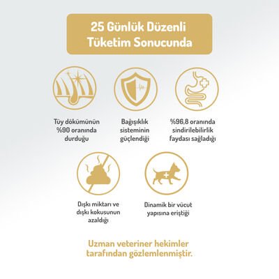 Felicia Small/Mini Breed Kuzulu Köpek Maması 3 Kg