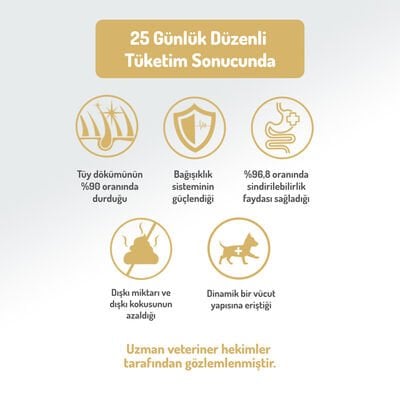 Felicia Somonlu Yetişkin Köpek Maması 15 Kg