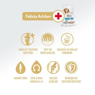 Felicia Somonlu Yetişkin Köpek Maması 3 Kg