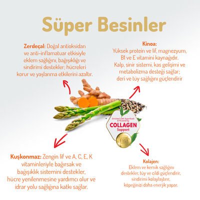 Felicia Kuzulu Yetişkin Köpek Maması 3 Kg
