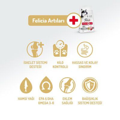 Felicia Kuzulu Yetişkin Köpek Maması 15 Kg