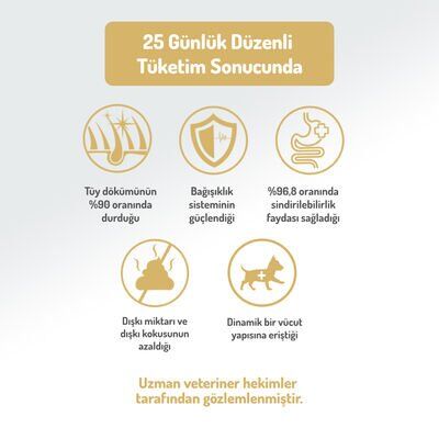 Felicia Kuzulu Yetişkin Köpek Maması 15 Kg