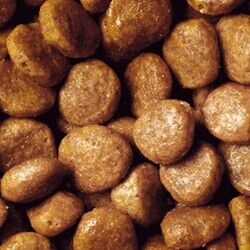 Pro Plan Somonlu Yetişkin Kedi Maması 10 kg