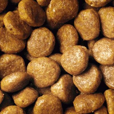 ProPlan Orijinal Tavuklu Yetişkin Kuru Kedi Maması 1 Kg