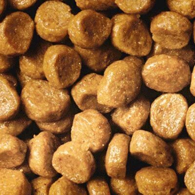 Pro Plan Kitten Tavuklu Yavru Kedi Maması 1 kg