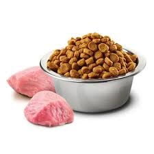 N&D Pumpkin Kuzu Etli Bal Kabaklı ve Yaban Mersinli Tahılsız Kısırlaştırılmış Kedi Maması 1,5kg