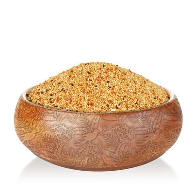 Quik Gurme Muhabbet Kuşu Yemi 500 gr. Kraker Hediyeli
