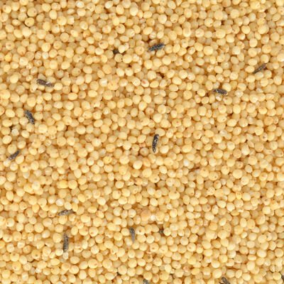 Quik Special Kabuksuz Muhabbet Yemi 400 gr