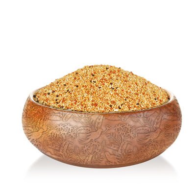 Quik Muhabbet Kuşu Yemi 400 + 100 gr
