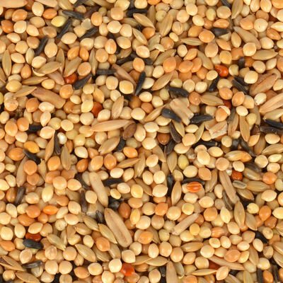 Gold Wings Classic Yavru Muhabbet Yemi 400 gr