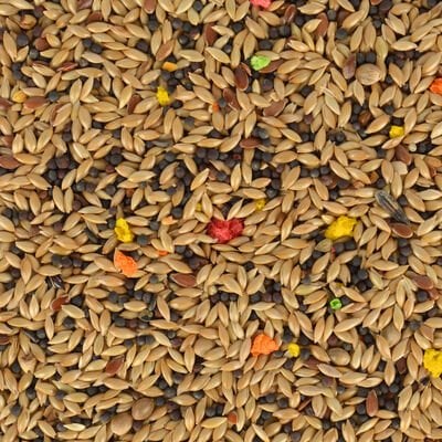 Gold Wings Classic Kanarya Yemi 400 gr