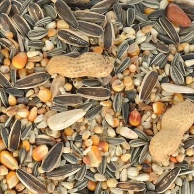 Jungle Papağan Yemi 500 gr