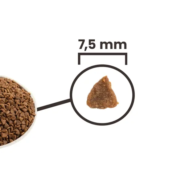 Acana First Feast Kitten Yavru Kedi Maması 1,8 Kg