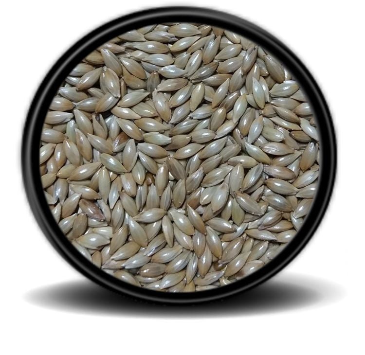 Vivid Sade Kanarya Yemi Aspur 500 gr Açık