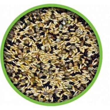 Vivid Bird Karışık Kanarya Yemi 500 gr Açık