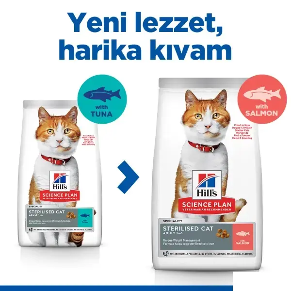 Hill's SCIENCE PLAN Somonlu Kısırlaştırılmış Kedi Maması 3kg