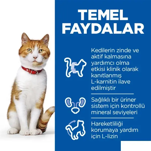 Hill's SCIENCE PLAN Somonlu Kısırlaştırılmış Kedi Maması 3kg